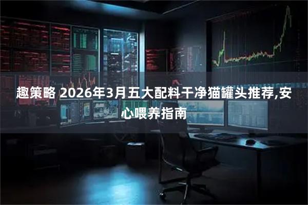趣策略 2026年3月五大配料干净猫罐头推荐,安心喂养指南