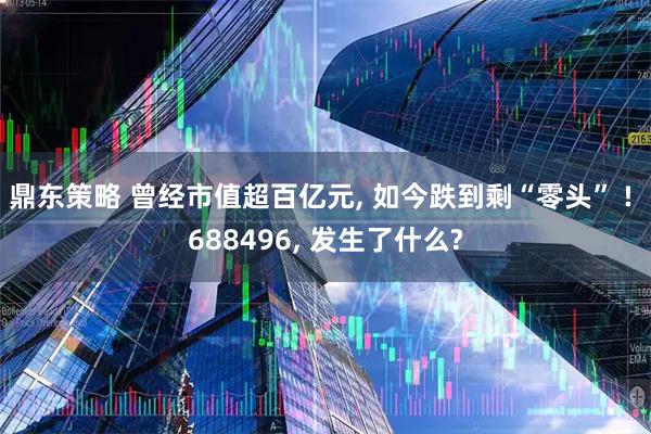 鼎东策略 曾经市值超百亿元, 如今跌到剩“零头” ! 688496, 发生了什么?