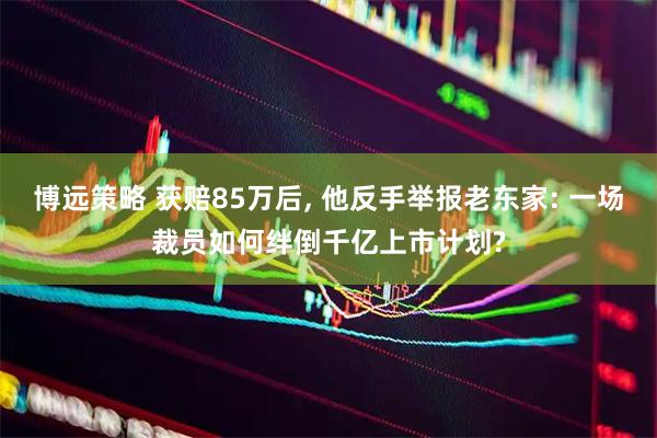 博远策略 获赔85万后, 他反手举报老东家: 一场裁员如何绊倒千亿上市计划?