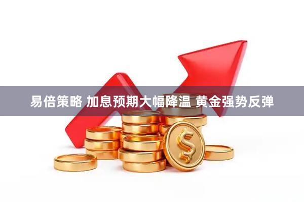 易倍策略 加息预期大幅降温 黄金强势反弹